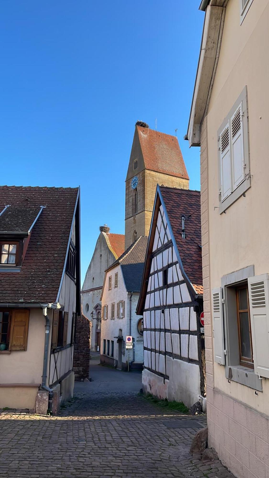 Appartement Le Ch'Ti Alsacien Eguisheim Luaran gambar