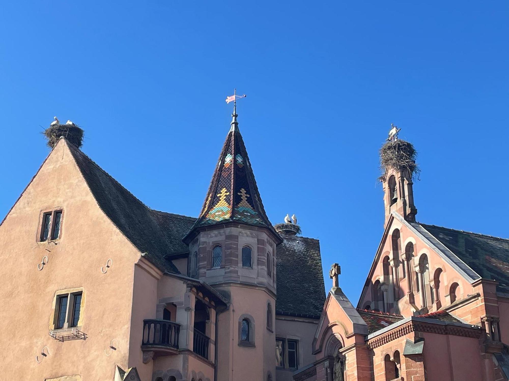 Appartement Le Ch'Ti Alsacien Eguisheim Luaran gambar